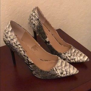 Madden girl Snakeskin pointy-toe heels